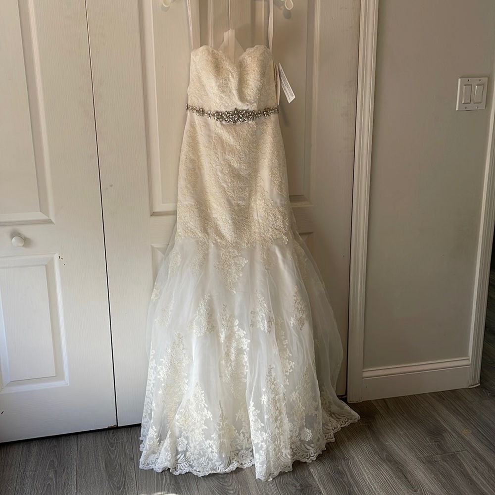 NWT David’s Bridal Wedding Gown